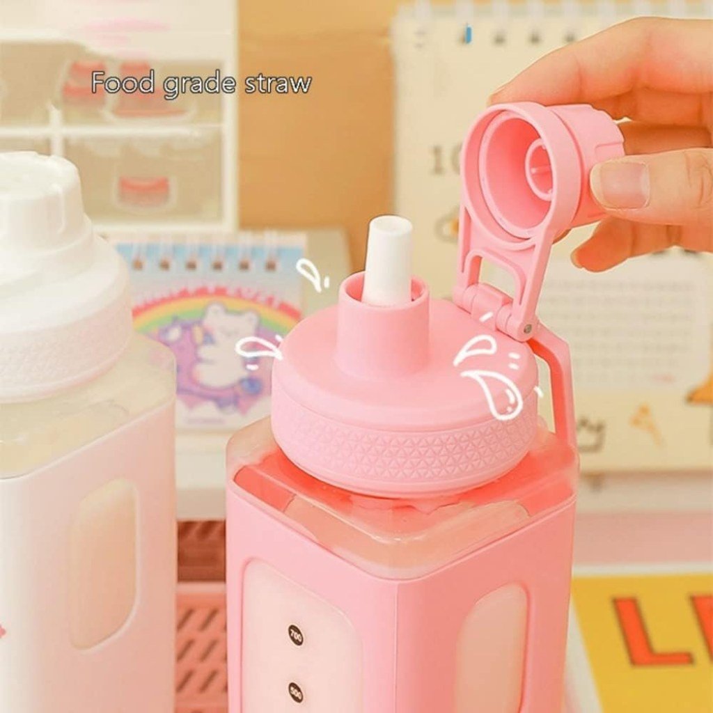 700ml Kawaii Water Bottle with Straw and Sticker