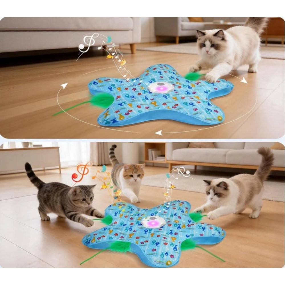 Generic Hide And Seek Cat Toy (Blue)