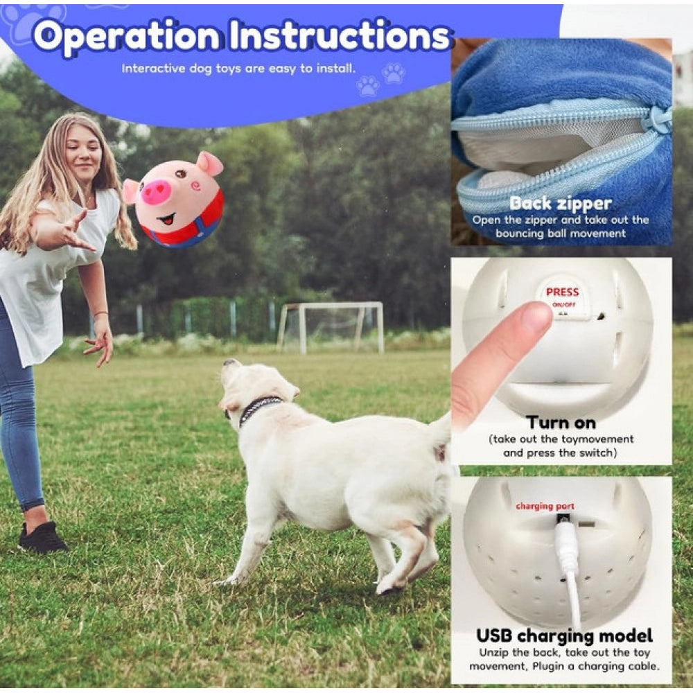 Generic Dancing Piggy Ball (Multicolor)